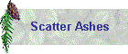 Scatter Ashes