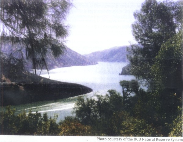 pictue of inlet bay on Lake Berryessa
